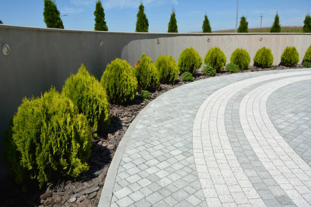 Driveway Repair Near Me in Bishop, TX